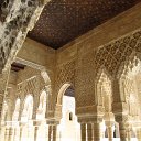 IMG_0730